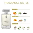 SILENT-STORM-EDP-100-ML-notes
