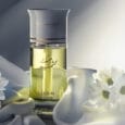 Kashmir Musk by Arabian Oud – A smooth, elegant musk fragrance with a luxurious touch.